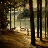 "Winter Dawn Lake CDA Everwell Bay" by Stephen Shortridge