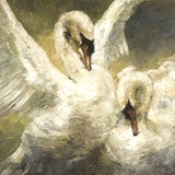 "Hopelessly Devoted" by Stephen Shortridge