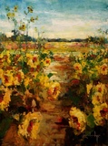 "Sunflowers St. Augustine" by Stephen Shortridge