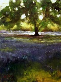 "Texas Blue" by Stephen Shortridge