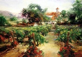 "Napa Dawn" by Stephen Shortridge