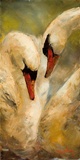 "Intimacy" by Stephen Shortridge