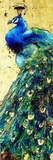 "Royal Blue" by Stephen Shortridge