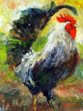 "The Morning Run, Kauai" by Stephen Shortridge