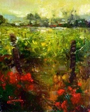 "Daybreak Napa" by Stephen Shortridge